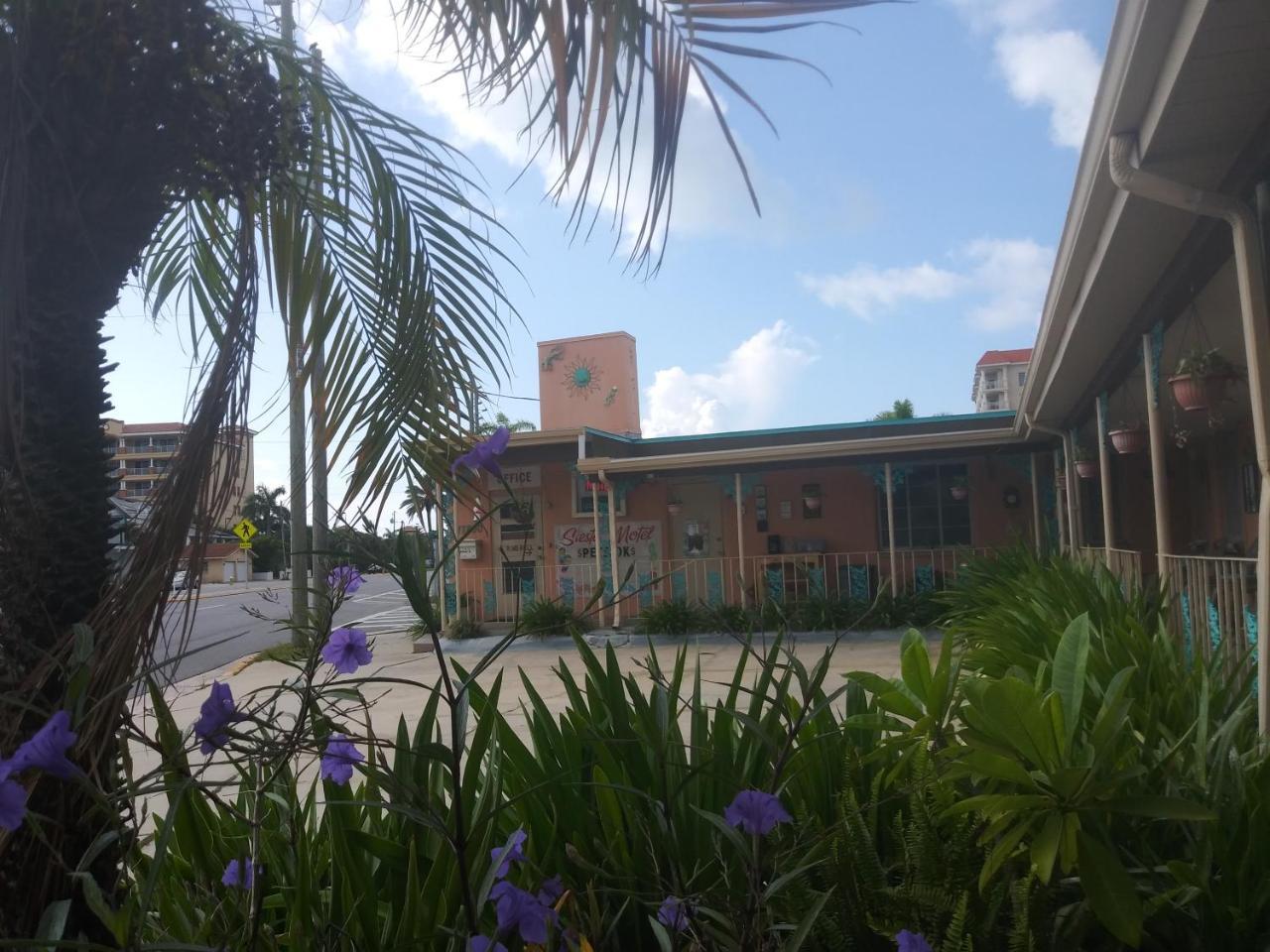 Michaels Siesta Motel St. Petersburg Exterior photo